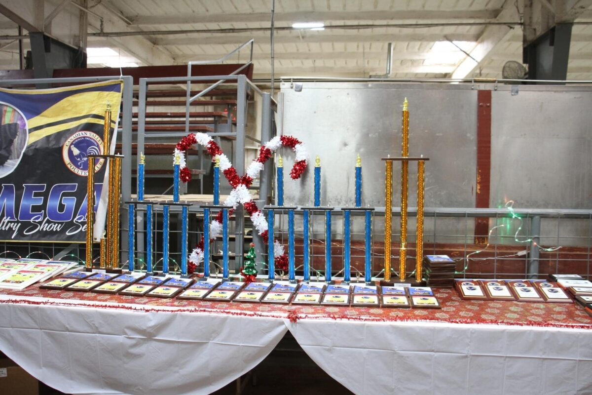 Awards.2023.Jr .Nats Canadian Valley Poultry Club Home of the MEGA