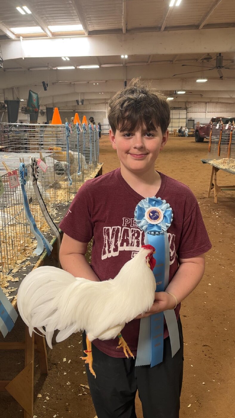 Steve’s grandson exhibiting a White Leghorn with an award ribbon.